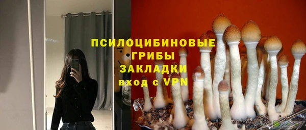 мдпв Арсеньев