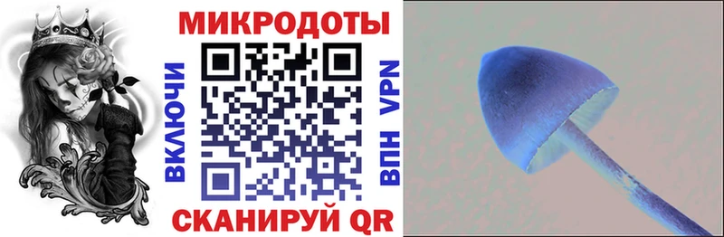 Галлюциногенные грибы прущие грибы  Сясьстрой 